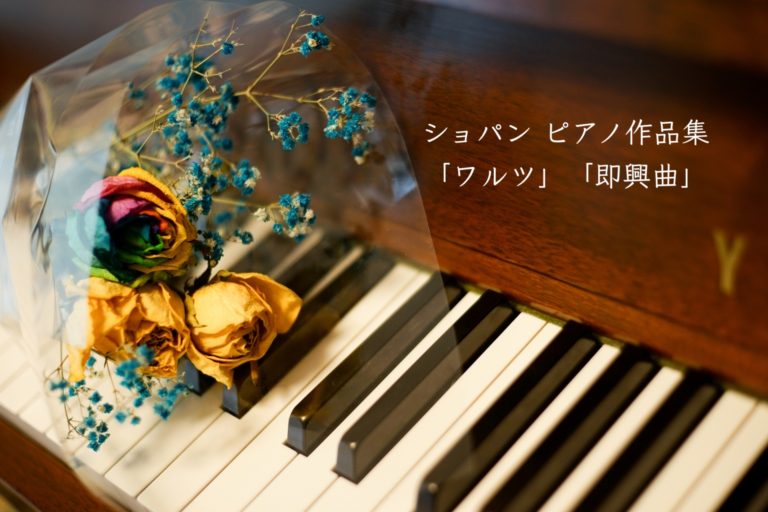 アシュケナージ／ショパン：ピアノソロ全集（13CD） - 通販
